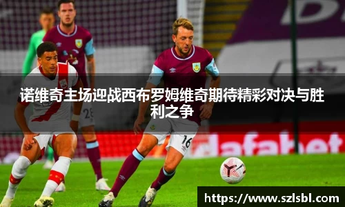 诺维奇主场迎战西布罗姆维奇期待精彩对决与胜利之争
